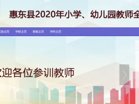 惠东县2020年小学幼儿园教师全员培训代学