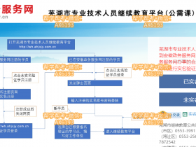 安徽政务服务网|芜湖市专业技术人员继续教育平台代学
